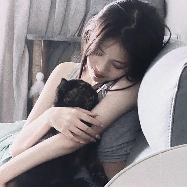 追爱家族