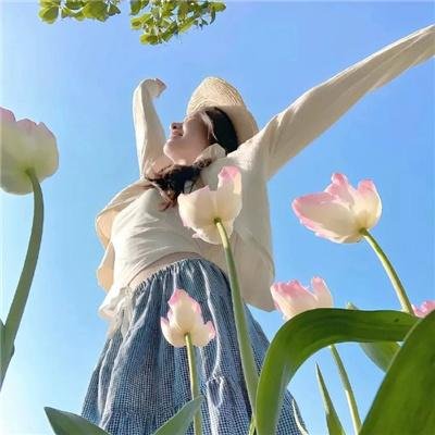 盲女与狐狸